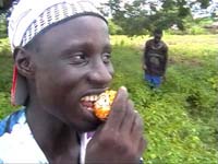 Africa Orgaincs bottom picture 4