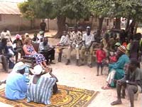 Africa Orgaincs top picture 2