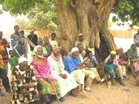 Africa Orgaincs top picture 4