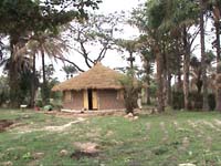 Africa Orgaincs bottom picture 1