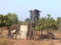 Africa Orgaincs bottom picture 2