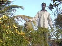 Africa Orgaincs bottom picture 2