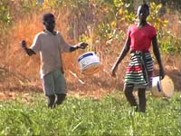 Africa Orgaincs bottom picture 3