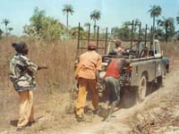 Africa Orgaincs top picture 1