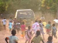 Africa Orgaincs top picture 4