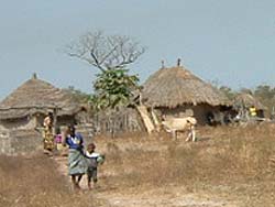 Gambian Village